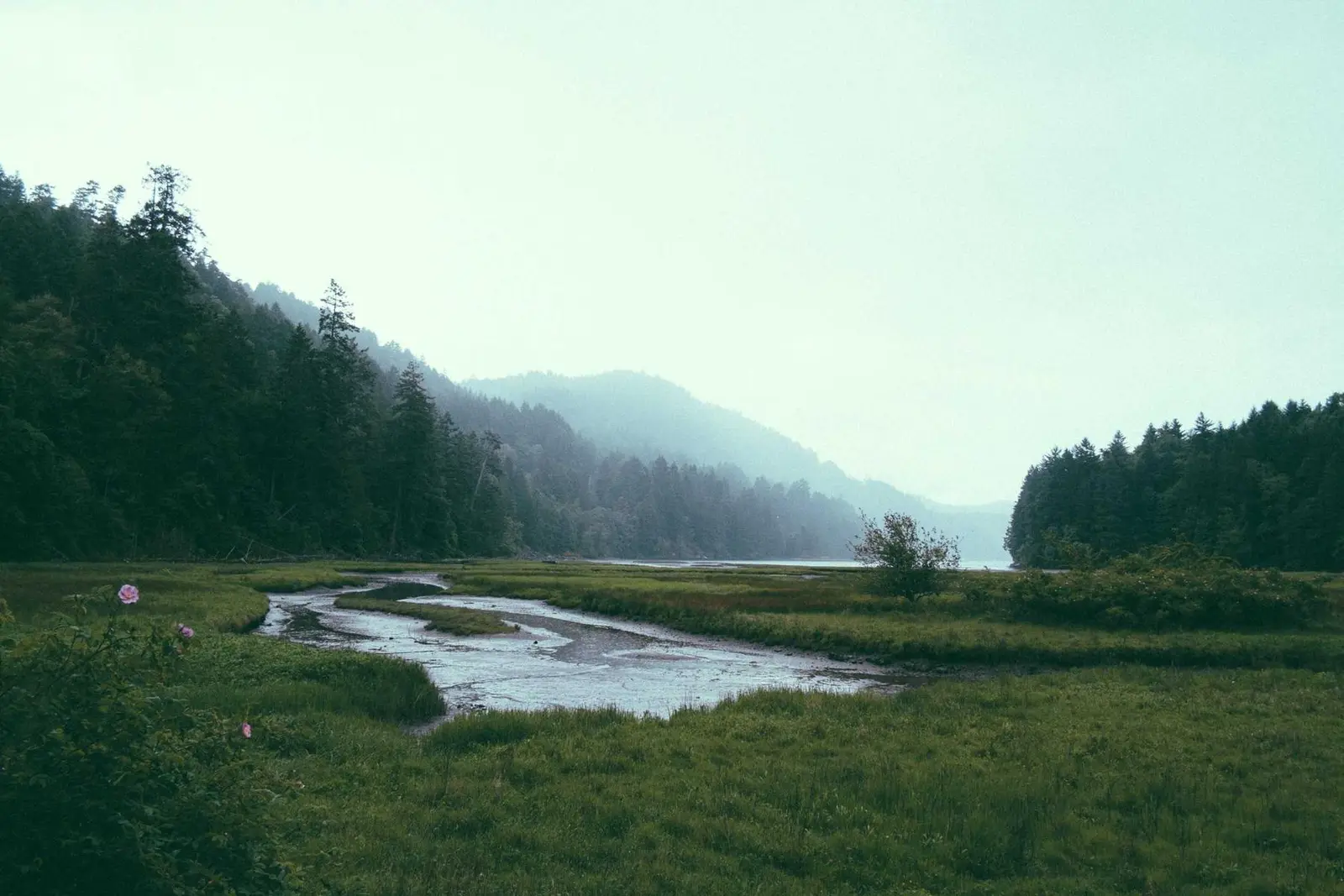 Rio sinuoso atravessando um campo verde entre montanhas